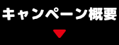 キャンペーン概要