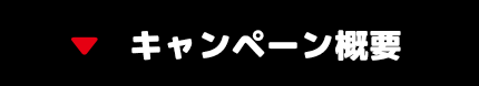 キャンペーン概要