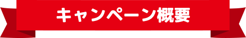 キャンペーン概要