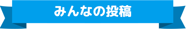 みんなの投稿